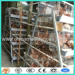 China supplier poultry farm design layer chicken cage