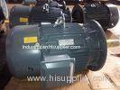 6 / 8 Pole 18.5KW / 22KW High Temperature Electric Motors 1000 rpm / 750 rpm