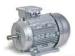 0.37KW 4.9HP 2 Pole IP55 Totally Enclosed Industrial Electric Motors 3000 rpm