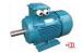 0.75KW IMB3 / IMB35 IC411 IP55 High Efficiency Electric Motor 1000r/min