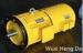 High Torque Squirrel Cage Variable Speed Electric Motor 1.5kw - 500kw