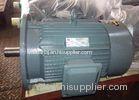 3 Phase 380V 50HZ S1 Industrial Electric Motors With IEC / DIN Standard