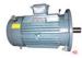 Asynchronous 3KW / 4KW High Temperature Electric Motors IP54 / IP55