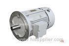 IE2 High Temperature Electric Motors Totally Enclosed Motor With CE / ISO9001