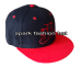 snapback cap with 3D embroidery logo