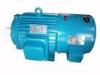 IEC Low Voltage High Torque Electric Motor With No Salt Crystallization