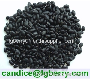 Black Soybean Hull Extract 5-70% anthocyanin/black soybean extract