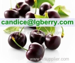 Natural black cherry extract powder