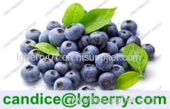 Natural juice powder addtive blueberry juice powder