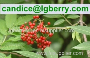 Fruit blend 100% pure elderberry fruit powder