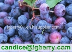 100% Pure organic blueberry concentrate/pure blueberry juice