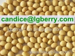 100% Natural Textured Soya Protein (NON-GMO soybean)