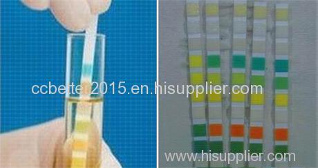 Visual Inspection Urine Reagent Strip