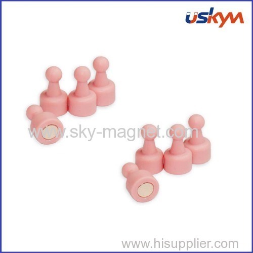 Girls lovely Memo Push pin