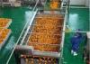 Complete Fresh Juice Concentrate Machine Production Line / Fruit Juice Processing Plant