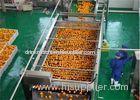 Complete Fresh Juice Concentrate Machine Production Line / Fruit Juice Processing Plant
