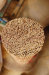 bamboo sticks, plants support sticks, candle sticks, plant support bamboo sticks, candle making sticks, incense making