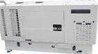 Single Phase Portable Silent Diesel Generator Set Perfect for Residential and Commercial Use 20KW -
