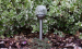 solar glass ball lamp