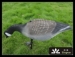 goose decoy for outdoor hunting sports