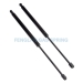 FENGLAN ￠10MM STRUTS--Gas spring