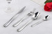 Hotel Stainless steel cutlery