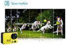 High Difinition 1080P Outdoor Sports Camera / Small Action DV Camera for Pets USB 2.0 Port