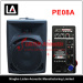 8 inch full range speaker/ passive active model speaker box