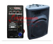 10inch 2 way Professional Plastic Audio speaker boxes PE10 / 10A