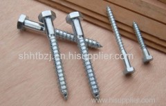 zinc plated wood screw (all kinds of packing )
