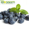 Wholesale market price frozen berries IQF blueberry