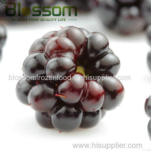 Low price new crop frozen blackberry
