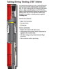 Drill Stem Testing Tools Tubing String Testing (TST) Valve