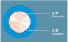 Low voltage wire and cable of PVC (450/750V)