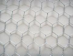 So Beautiful Hexagonal Netting