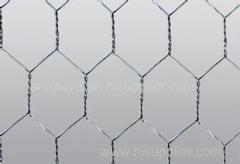 So Beautiful Hexagonal Netting