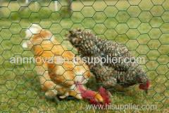 So Beautiful Hexagonal Netting