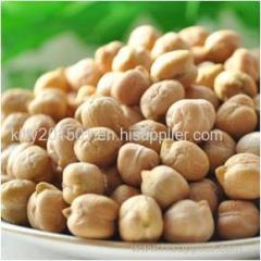 Mulei Xinjiang Chickpea With High Quality