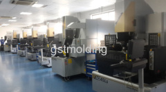 GaoSheng Molding Technology Co., Ltd.