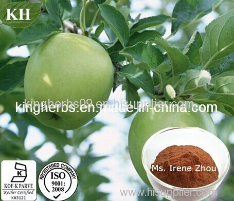Apple Extract; 50%, 70%, 75%, 80% Polyphenols by UV