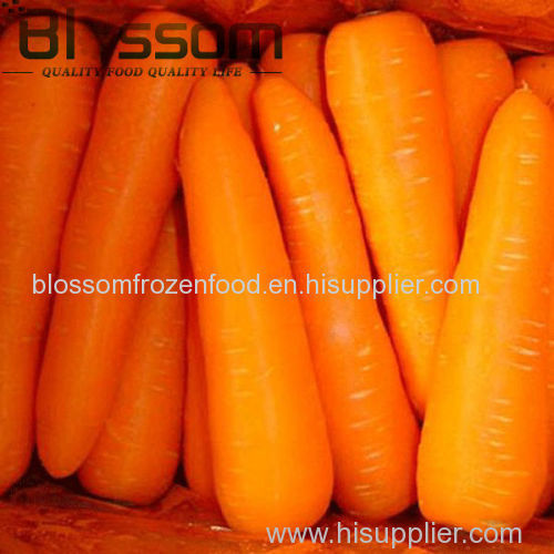 Wholesale chinese market price frozen vegetables carrot