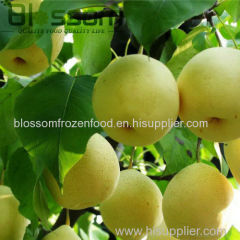 China frozen fruit snow pear IQF pear diced