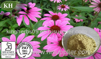 Echinacea Purpurea Extract;Cichoric acid 1%, 2%, 4% HPLC; Polyphenols 4.0% UV
