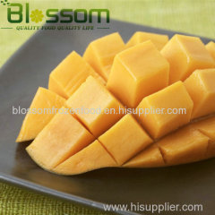 Tropical fruit frozen mango diced mango chunks