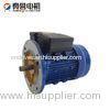 3HP single phaseinduction motors / variable speed electric motor