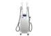 Double Handles Cryolipolysis Multifunction Beauty Machine With Cavitation Rf