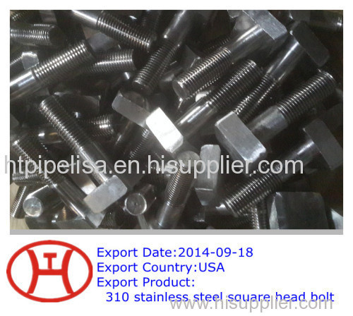 310 stainless steel square head bolt