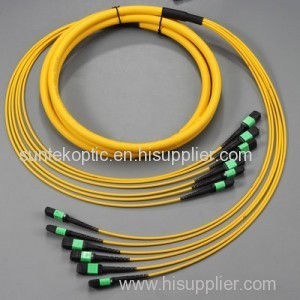 MPO Jumper/mpo patch cord/fiber optic patch cord