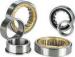 Single Row Cylindrical C3 C4 C5 Agriculture Machine Rolling Bearing
