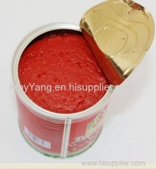 Canned tomato paste 28-30%